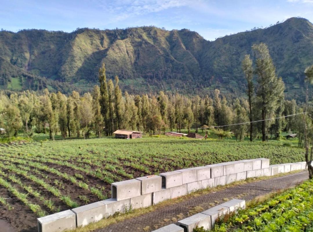 Bromo Seruni Astungkara Homestay Проболинго Екстериор снимка
