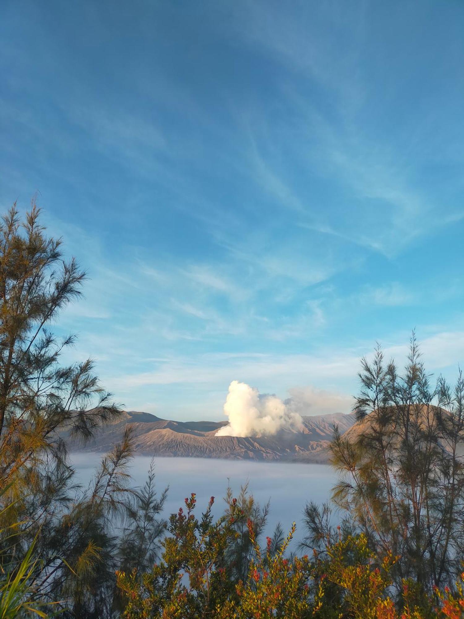 Bromo Seruni Astungkara Homestay Проболинго Екстериор снимка