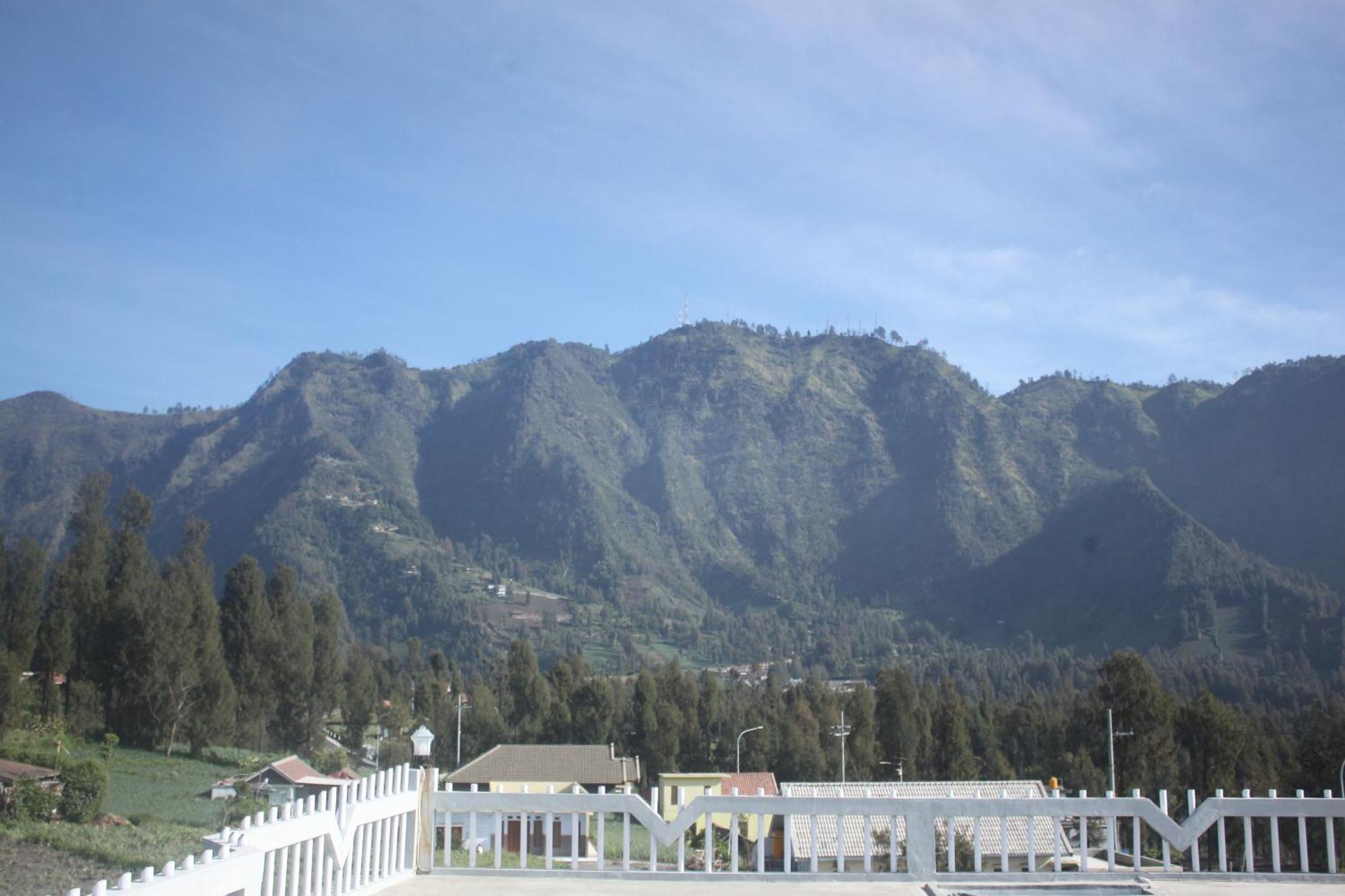 Bromo Seruni Astungkara Homestay Проболинго Екстериор снимка