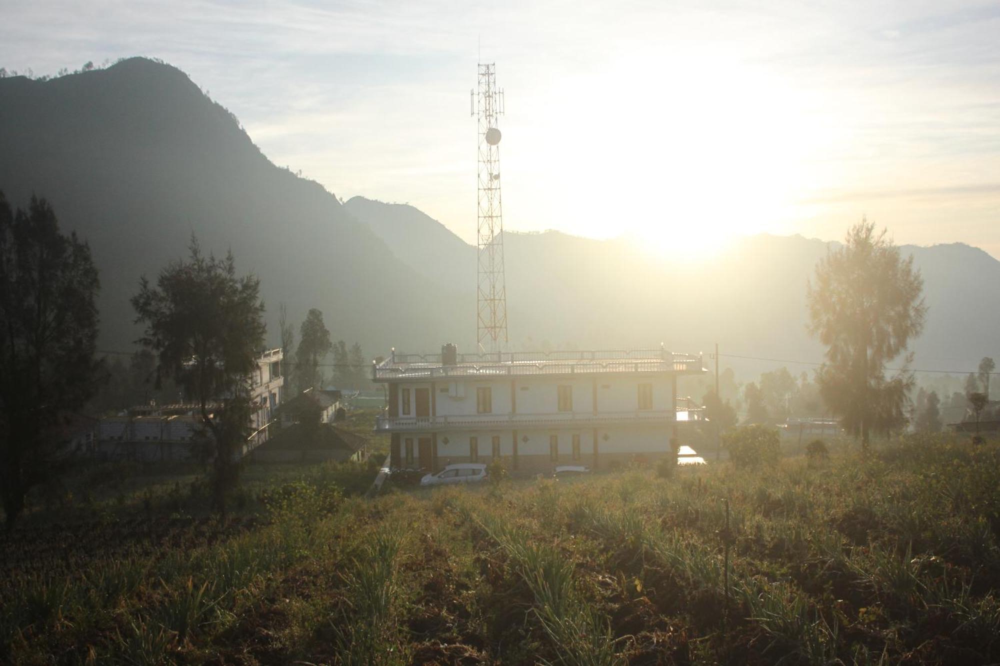 Bromo Seruni Astungkara Homestay Проболинго Екстериор снимка