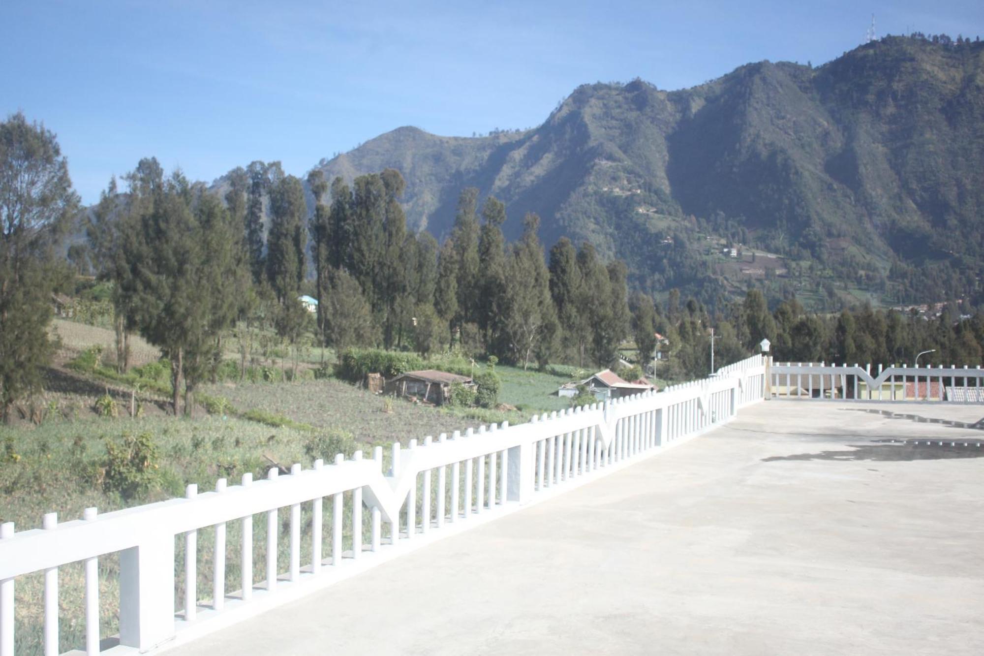 Bromo Seruni Astungkara Homestay Проболинго Екстериор снимка